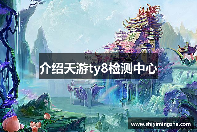 介绍天游ty8检测中心
